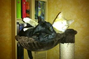 Bienchen & Scooby