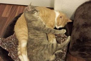 Elly & Casanova