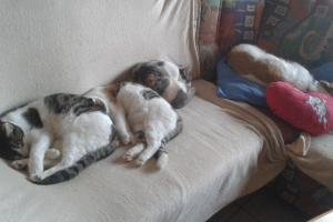 Kary & Jessy & Leo 