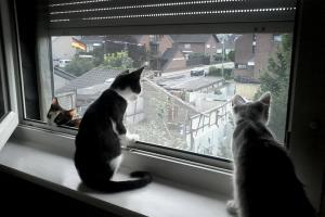 Juddy&Giorgio&Gianni
