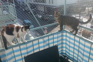 Sweety & Quirlie