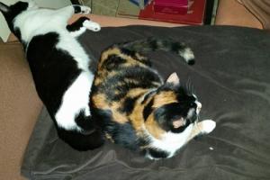 Athina & Sirena 