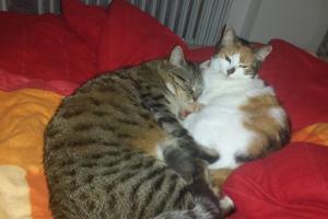 Amanda & Buffy