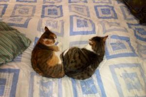 Lizzy und Sweety