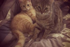 Angel & Alen