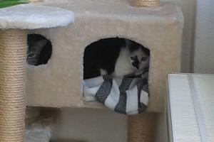 Kemy & Emy