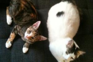 Candy & Marlene