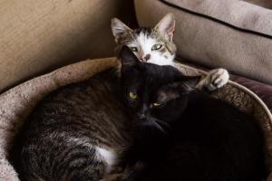 Billy & Gigi 