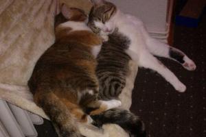 Gina & Nemo