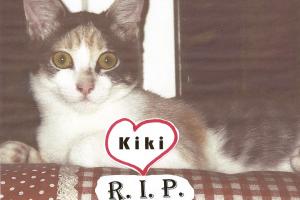 Kiki