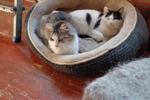 Lori und Oliver