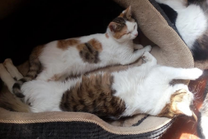 Mimi und Ashley