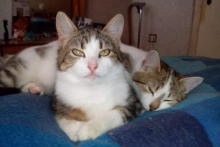 Sanna und Enna