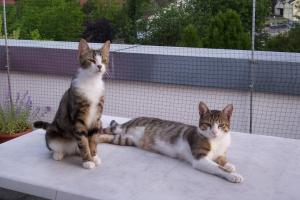 Jimmy & Luca