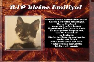 Emilija