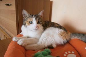 Suzi 