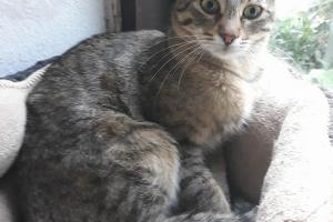 Vicky 