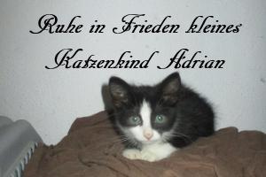 Adrian