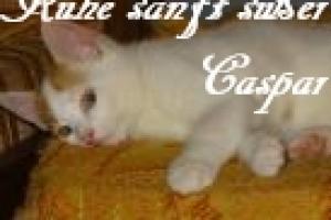 Caspar
