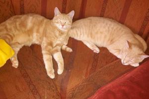 Raphael & Gabriel