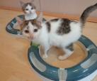 Kylie und Moyra