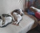 Kary & Jessy & Leo 
