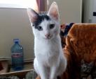 Lilly