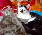 Emy & Kemy