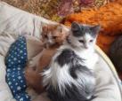 Micky & Daisy