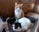 Jijo und Oliver