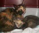 Farah und Eliana