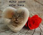 Sara 