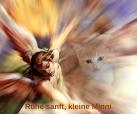 Minni