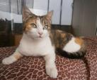 Suzi