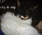 Blacky & Joy