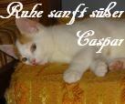 Caspar