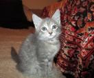 Amunet <3