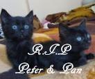Peter und Pan
