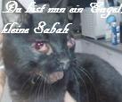 Sabah